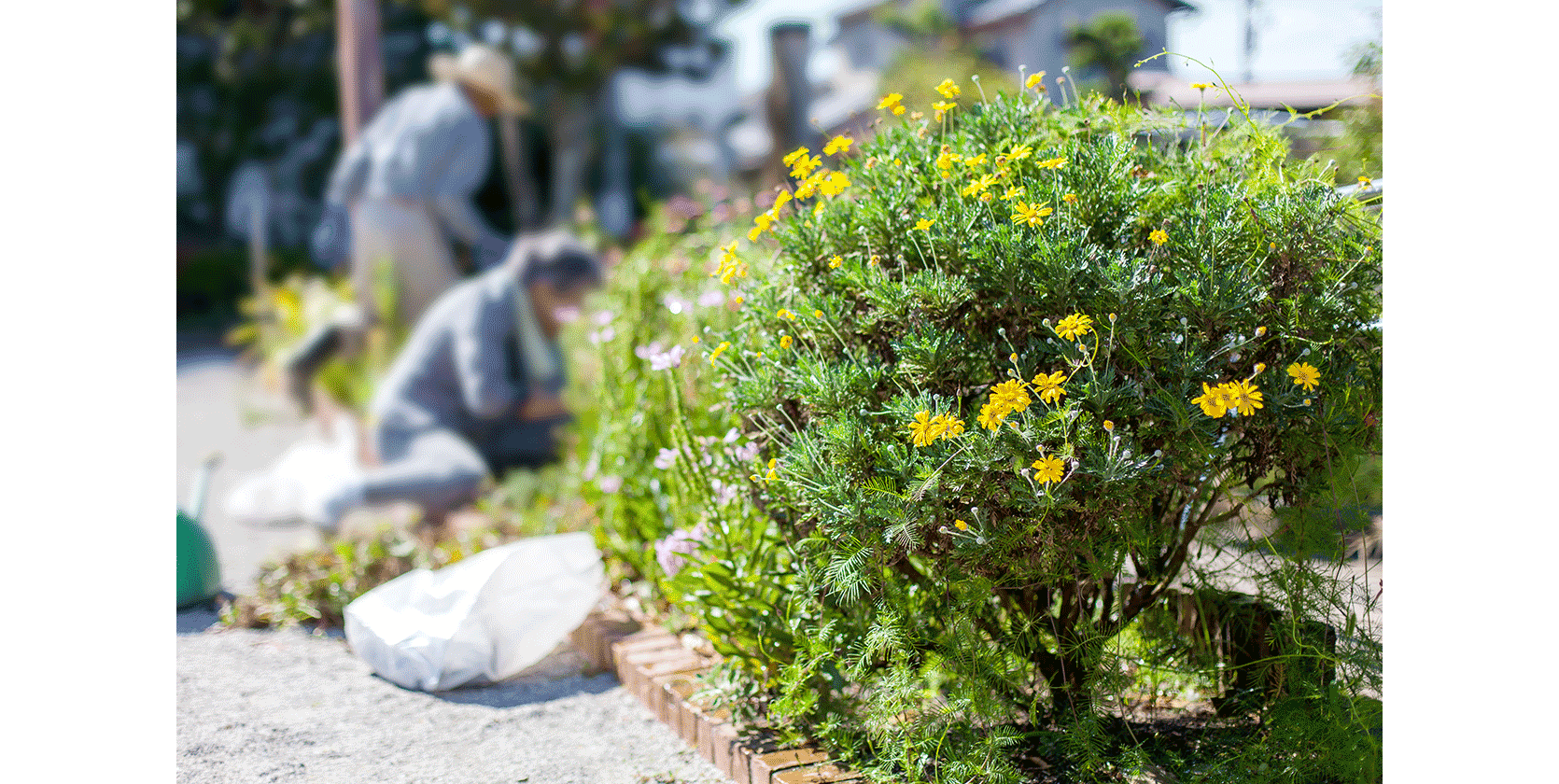 犯罪が起こりにくい環境をつくる地域防犯